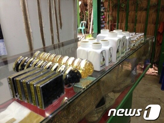 본문 이미지 - 태국에서 부산경찰청 외사과에 적발된 가짜 '코브라 쓸개' 제품. © News1 