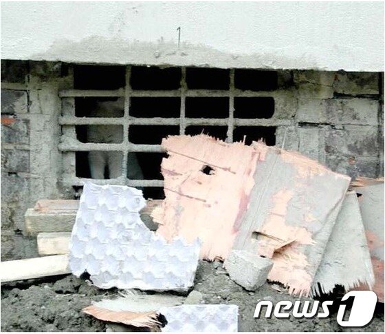 본문 이미지 - 