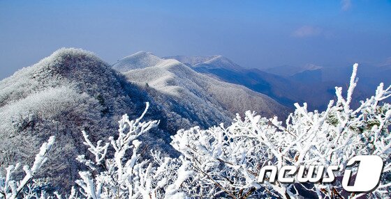 본문 이미지 - 치악산 설경. (국립공원관리공단 제공) © News1 