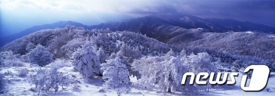 본문 이미지 - 지리산 바래봉의 겨울. (국립공원관리공단 제공) © News1 