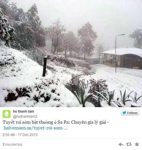 본문 이미지 - 한 트위터리안이 올린 현지 사진 @hothanhtam2 © 뉴스1  