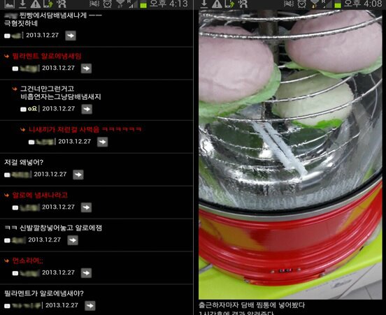 본문 이미지 - 일간베스트저장소. © News1  