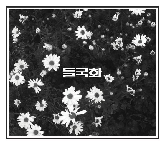 본문 이미지 - 밴드 들국화의 신보 '들국화' 표지(들국화컴퍼니 제공). © News1  