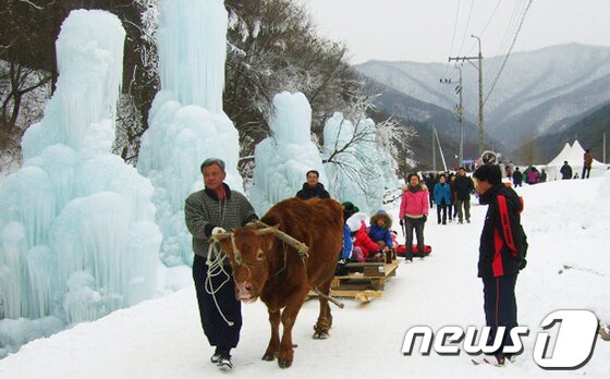 본문 이미지 - 알프스 마을 얼음분수 축제 © News1  