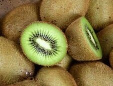 본문 이미지 - 키위 © News1  