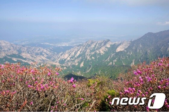 본문 이미지 - 금강산 비로봉 전경. ⓒ News1