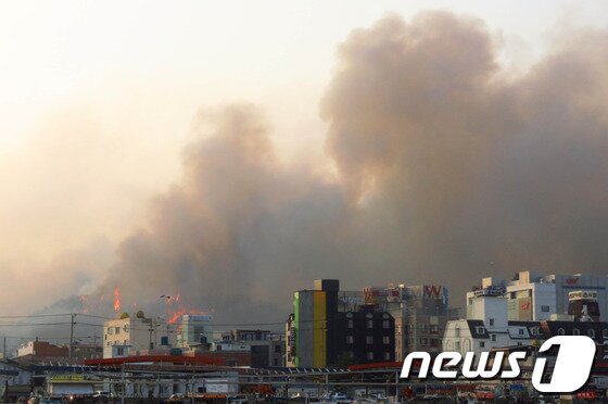 본문 이미지 - 9일 오후 3시38분쯤 경북 포항 북구 용흥중학교 뒷편 산에서 원인을 알 수 없는 산불이 발생해 강한 바람을 타고 시내 전역으로 확산됐다. 포항시와 소방당국은 전 공무원 비상동원령을 발령, 진화작업에 나섰지만  해가 지면서 진화에 어려움을 겪었다. 2013.3.9/뉴스1 © News1   최창호 기자