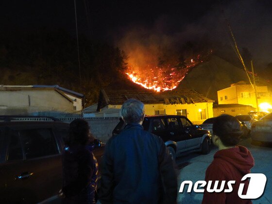 본문 이미지 - 산불이 한지 4시간이 지났지만 북구 용흥동 주택가 뒷쪽 수도산에서 불이 번지고 있다./최창호 기자© News1  