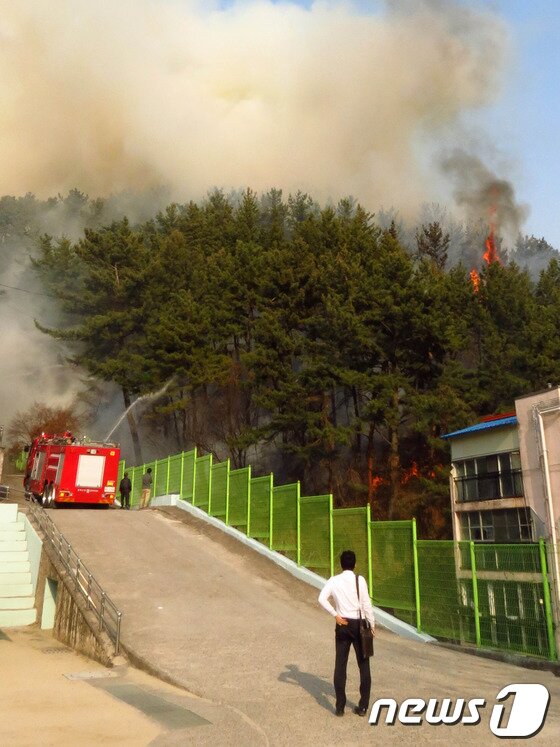 본문 이미지 - 최초 산불 지점인 용흥초등학교 뒷편산에는 포항시 공무원들의 모습은 찾아 볼 수 없었다./최창호 기자© News1  