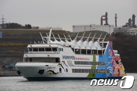 본문 이미지 - 울산 남구의 크루즈 고래바다여행선./사진=울산 남구 © News1 