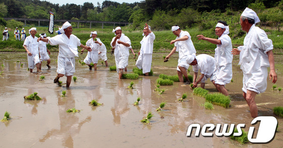 (인천=뉴스1) 신창원 기자 = 선조들이 농사를 지으면서 피로를 잊고 능률을 올리기 위해 부르는 강릉학산오독떼기(江陵鶴山, 강원무형문화재 제5호)가 20일 오후 강원도 강릉시 구정 …