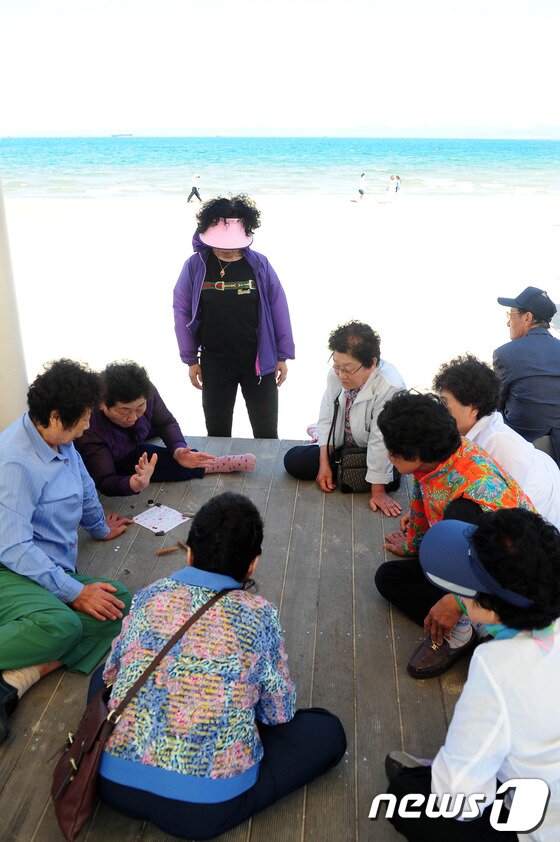 본문 이미지 - 경북 포항의 낮 최고 기온이 26.2도까지 치솟은 21일 포항북부해수욕장에서 노인들이 윷놀이를 하며 더위를 식히고 있다./2013.5.21/뉴스1 © News1 최창호 기자