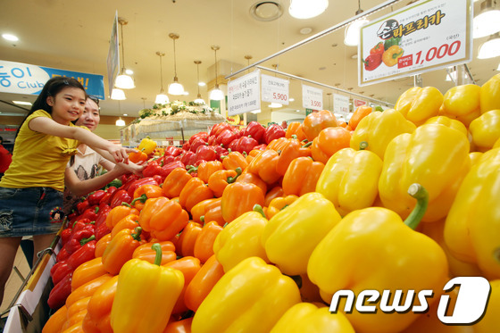 롯데마트가 23일 오전 서울역점에서 엔저(円低)에 고통 받는 파프리카 농가를 위해 7월 말까지 파프리카를 개당 1,000원에 판매한다고 밝혔다. 이번에 선보이는 파프리카는 농약대신 …