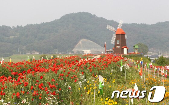 본문 이미지 - 