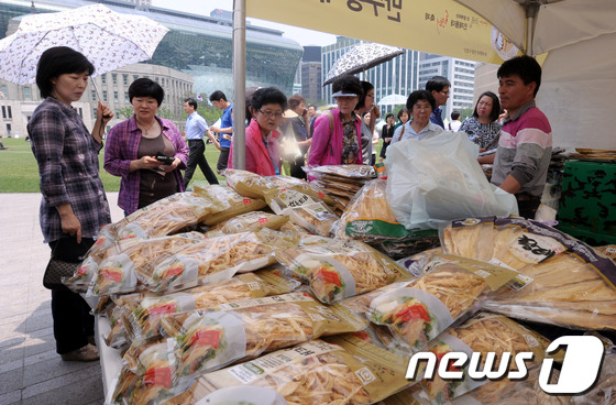 (서울=뉴스1) 안은나 기자 = 24일 서울광장에서 열린 2013 용대 황태축제에서 시민들이 부스를 둘러보고 있다. 강원도 인제 용대리에서 열려온 황태축제는 올해 서울에서 그 모습 …