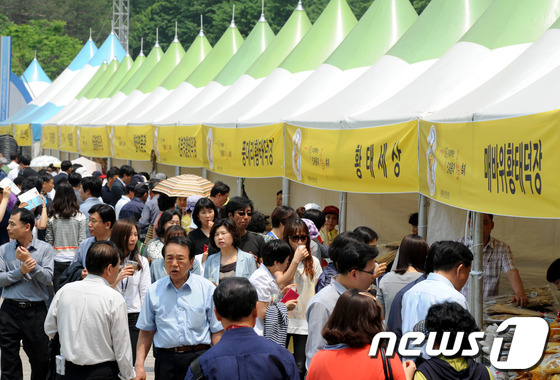 (서울=뉴스1) 안은나 기자 = 24일 서울광장에서 열린 2013 용대 황태축제에서 시민들이 부스를 둘러보고 있다. 강원도 인제 용대리에서 열려온 황태축제는 올해 서울에서 그 모습 …