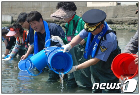 본문 이미지 - 부산해경은 24일 연안정화 운동과 병행해 다대포 해수욕장 인근 바닷가에 참돔치어 1만5000마리를 방류하는 부대행사를 마련했다.(부산해양경찰서 제공)© News1  