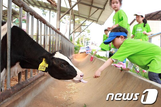 본문 이미지 - 사진제공=농림축산식품부  © News1  