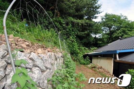 본문 이미지 - 2012년 설치된 춘천시 지암리 사방시설.2013.6.15/뉴스1 © News1 홍성우 기자 