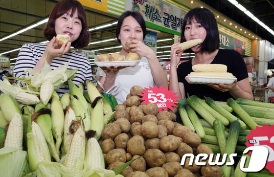 (서울=뉴스1) 김보영  = 19일 양재동 하나로클럽에서 여성들이 햇 채소를 대표하는 찰옥수수, 오이지용 오이, 감자 등 제철 채소를 선보이고 있다. 농협 하나로클럽은 다음주부터 …
