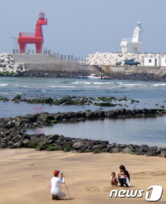 본문 이미지 - 화순금모래 해변 (사진제공=제주도청) © News1   
