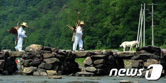 본문 이미지 - 2일 오후 충북 진천군 문백면 농다리 일원에서 열린 '2013 생거진천 농다리축제'에서 구곡리 마을 주민들이 농사철다리건너기 재현 행사를 하고 있다. 2013.6.2/뉴스1