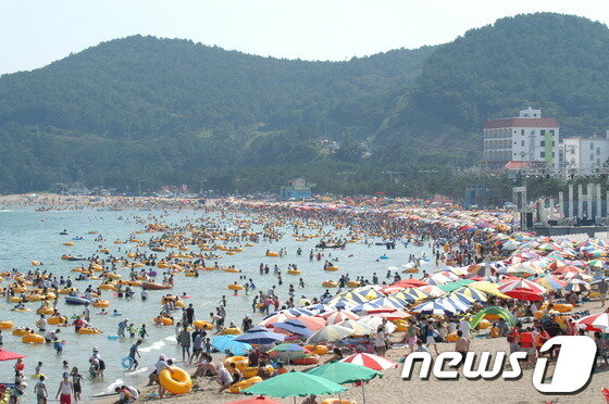 본문 이미지 - 울산시 울주군에 위치한 진하해수욕장 전경. (울주군청 제공) © News1   