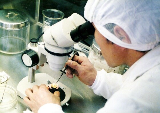 본문 이미지 - CJ제일제당 브라질 라이신공장© News1  