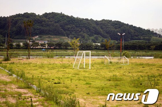 본문 이미지 - 경북 안동시 용상동 낙동강변에 조성된 축구장에 잡초만 무성하다. © News1 