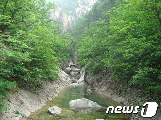 본문 이미지 - 설악산 천불동 계곡(사진제공=설악산 국립공원 사무소) © News1 