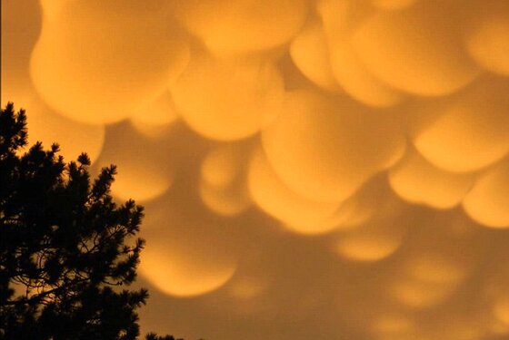 본문 이미지 - 제이슨 아슬린 유튜브 동영상. © News1 