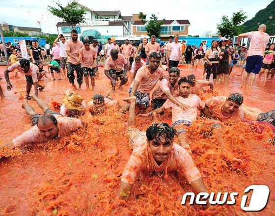 본문 이미지 - ‘2013 화천 토마토축제’. (사진제공=화천군) ⓒ News1