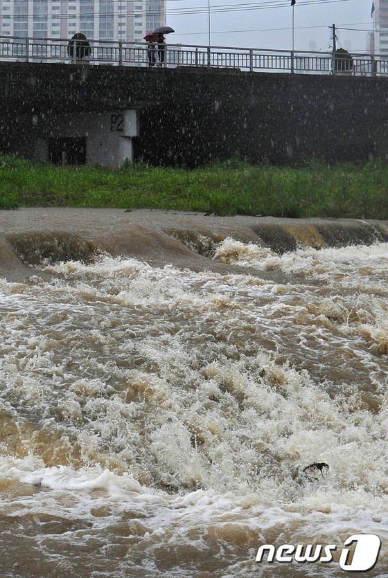 (대구=뉴스1) 김영진 기자 = 장마전선의 영향으로 인해 5일 오전 대구 달성군 화원읍 천내천 수위가 높아져 물살이 거세게 흐르고 있다. 2013.07.05/뉴스1