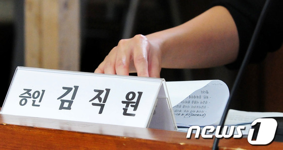 (서울=뉴스1) 오대일 기자 = 19일 서울 여의도 국회에서 열린 국가정보원 댓글 의혹 사건 등의 진상규명을 위한 국정조사 2차 청문회에서 국정원 여직원 김모씨가 커튼 가림막 뒤에 …