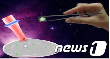 본문 이미지 - 입자에 도포한 유전물질을 광집게로 집어 세포로 침투시키는 모식도./사진제공=광주과학기술원© News1 