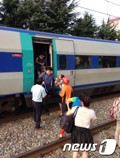 본문 이미지 - 31일 오전 대구역에서 서울로 향하던 무궁화 열차와 KTX 열차 2대가 추돌했다.사고 열차가 선로에 멈춰 서 있다.이 사고로 무궁화 열차 1량과 KTX 열차 1량이 탈선해 대구역을 지나는 상·하행선 경부선 열차 운행이 모두 중단됐다. 2013.8.31 머니투데이/뉴스1 © News1   
