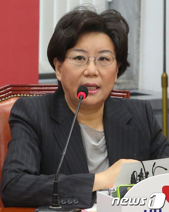본문 이미지 - 이혜훈 새누리당 최고위원. © News1 송원영 기자