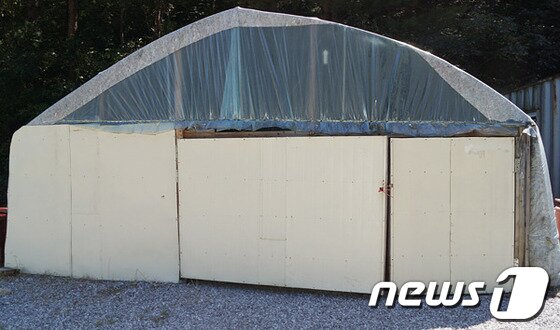 본문 이미지 - 한목사가 차고로 사용했던 하우스 시설. 2013.9.16/뉴스1 © News1 하중천기자  
