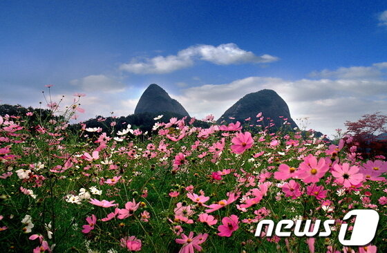 본문 이미지 - 마이산 © News1   박상일 기자