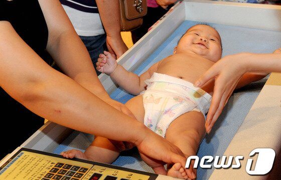 본문 이미지 - 3일 강릉 라카이샌드파인 리조트에서 열린 강원 모유수유아 선발대회에 참가한 한 아기가 체중을 재고 있다. 2013.9.3/뉴스1 © News1 윤창완 기자  