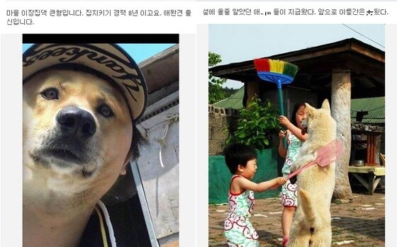 본문 이미지 - 
