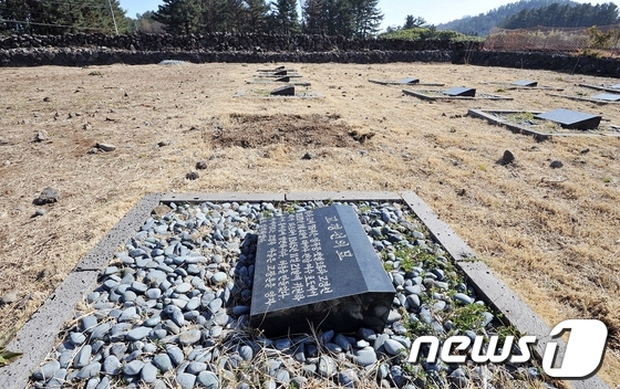 (제주=뉴스1) 이상민 기자 = 29일 제주시 봉개동에 위치한 김정은 위원장 외가 가족 묘지에 있는 묘 14기 가운데 김정은 외조부인 고경택의 평장 묘가 누군가에 의해 파헤쳐져 석 …
