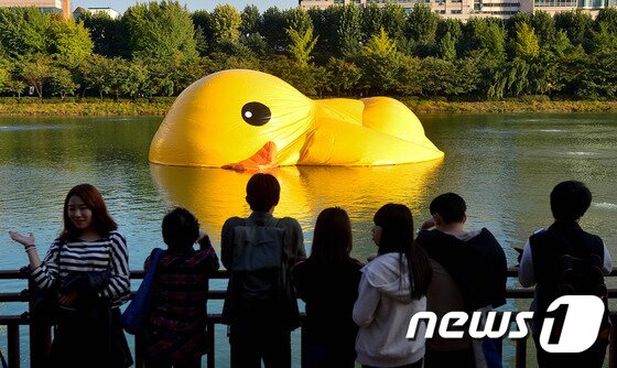 본문 이미지 - 14일 서울 송파구 석촌호수에 설치된 대형 고무 오리 '러버덕(Rubber Duck)'에 바람이 빠져 있다. 2014.10.14/뉴스1 ⓒ News1 송은석 기자