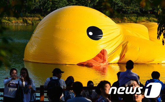 본문 이미지 - 14일 서울 송파구 석촌호수에 설치된 대형 고무 오리 '러버덕(Rubber Duck)'에 바람이 빠져 있다. 2014.10.14/뉴스1 ⓒ News1 송은석 기자