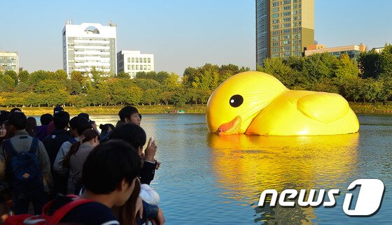 본문 이미지 - 14일 오후 서울 송파구 석촌호수에 설치된 대형 고무 오리 '러버덕(Rubber Duck)'에 바람이 빠져 있다. 2014.10.14/뉴스1 ⓒ News1 송은석 기자
