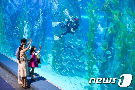 본문 이미지 - ⓒ News1