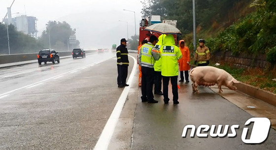 (충북ㆍ세종=뉴스1) 정민택 기자 = 경찰, 소방대원, 한국도로공사 관계자들이 20일 오전 충북 진천군 초평면 음암리 중부고속도로 상행선 통영기점 271km 지점에서 고속도로를 활 …