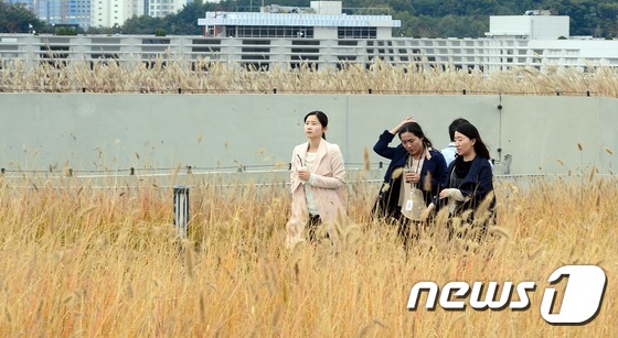 (세종=뉴스1) 장수영 기자 = 정부세종청사 공무원들이 22일 청사 옥상에 조성된 하늘공원에서 산책을 하며 가을정취를 만끽하고 있다. 2014.10.22/뉴스1