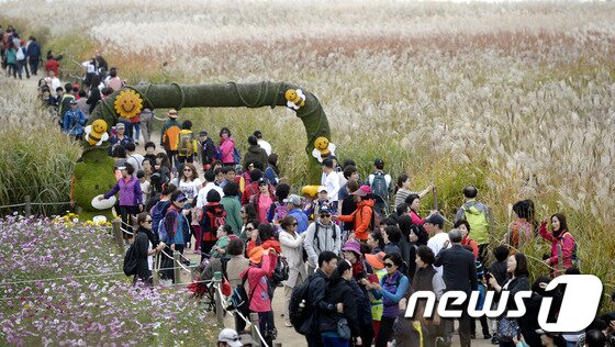 본문 이미지 - 제13회 서울억새축제 마지막 날인 26일 월드컵공원 내 하늘공원에서 시민들이 억새밭을 거닐며 가을정취를 만끽하고 있다. 2014.10.26/뉴스1 ⓒ News1 안은나 기자