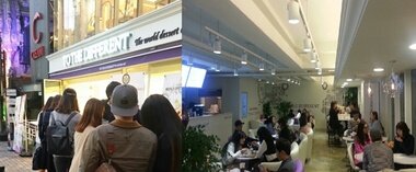 본문 이미지 - TO WORLD DESSERT CAFE - TO THE DIFFERENT ? 서울 홍대점 ⓒ News1